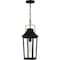 Quoizel Buckley Outdoor Hanging 1 Light Matte Black BUK1907MBK - alternate 2
